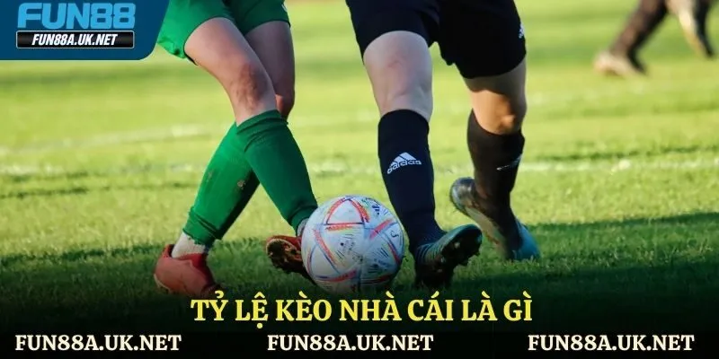 Thế nào là tỷ lệ kèo nhà cái